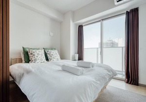 Saintpaulia Osaka-Jo AFP Apartment