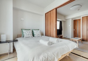 Saintpaulia Osaka-Jo AFP Apartment