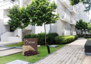Trees Residences SMDC by Jhoms