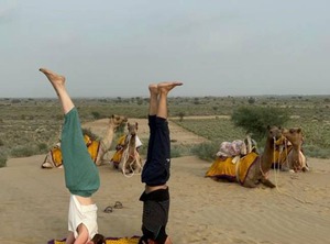 Motel | Amar Sagar Pol