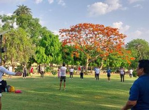The Lodge | Pink City