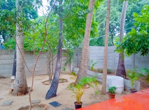 Serenity Beach | Kottakuppam