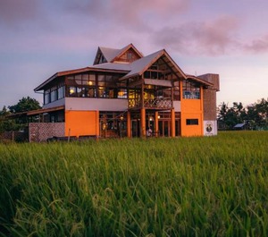 Guerrera Rice Paddy Villas 