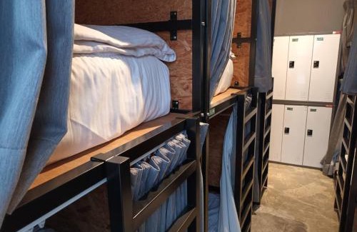 Xitun District Hostel | 薇薇青旅-嚞驫驛站