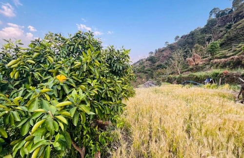 Sirala House | 100 m² House ∙ 3 bedrooms ∙ 16 guests