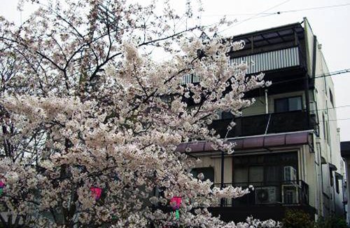 Ikuno Apartment | 110 m² Apartment ∙ 12 guests