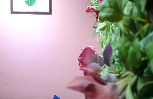 Tainan City Centre House | 15 m² House ∙ 1 bedroom ∙ 2 guests