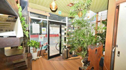 Ikuno Hostel | 16 m² Hostel ∙ 3 guests