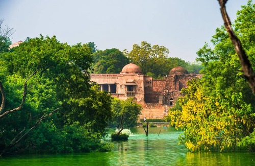 Safdarjung Enclave Apartment | 19 m² Apartment ∙ 4 guests