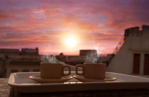 Nathdwara Hotel | 21 m² Hotel ∙ 3 guests