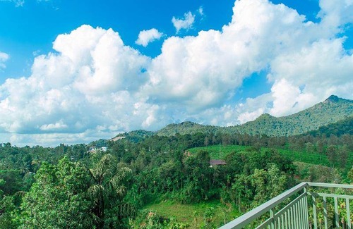 Kalpetta Apartment | 40 m² Serviced apartment ∙ 5 guests