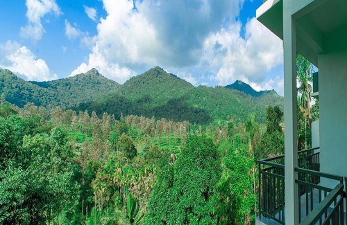 Kalpetta Apartment | 40 m² Serviced apartment ∙ 5 guests