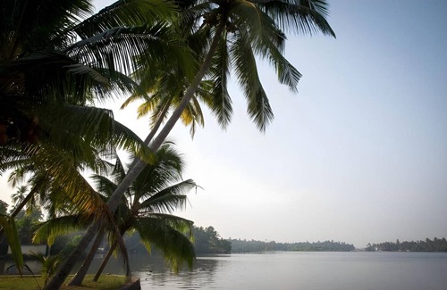 Kumbalangi House | 50 m² Bungalow ∙ 1 bedroom ∙ 4 guests