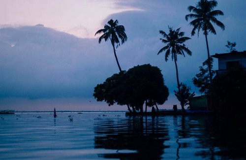 Alappuzha Resort | 60 m² Resort ∙ 4 guests