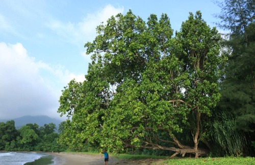 North and Middle Andaman District Resort | 74 m² Resort ∙ 2 guests
