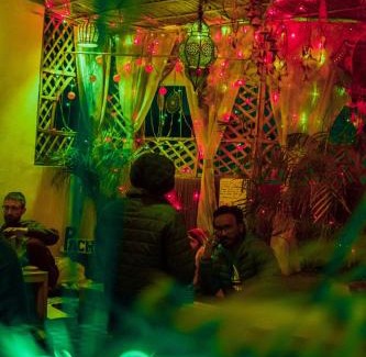 Civil Lines Hostel | Freya Hostel