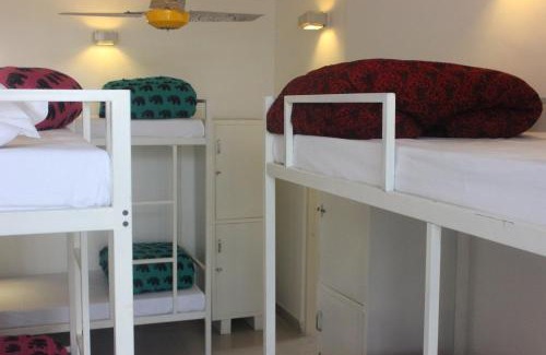 Panch Batti Hostel | goSTOPS Lite Jaipur