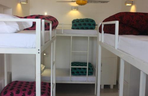 Panch Batti Hostel | goSTOPS Lite Jaipur