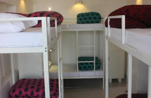 Panch Batti Hostel | goSTOPS Lite Jaipur