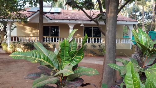 Vagator House | Hill Top Goa Lodge