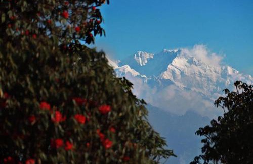 Okhrey Hostel | Honey nest