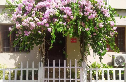 Fort Kochi Hostel | Hostel ∙ 8 guests