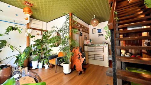 Ikuno Hostel | Hostel Caranashi