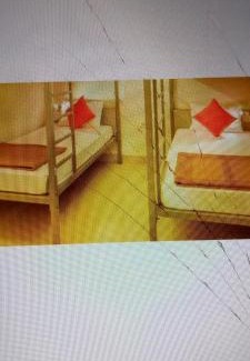 Udaipur Hotel | Hotel stay inn