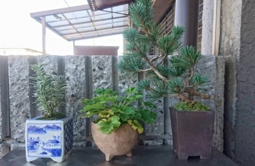 Fushimi Hotel | 30 m² Hotel ∙ 1 bedroom ∙ 1 guest