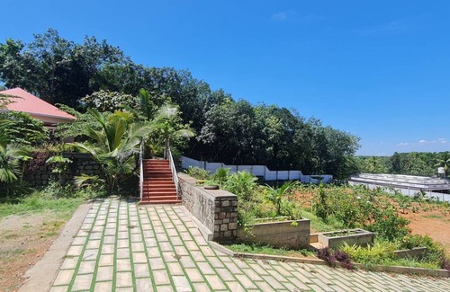 Anchal House | Motel ∙ 8 guests