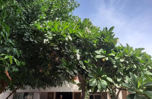 Malviya Nagar House | Motel ∙ 8 guests