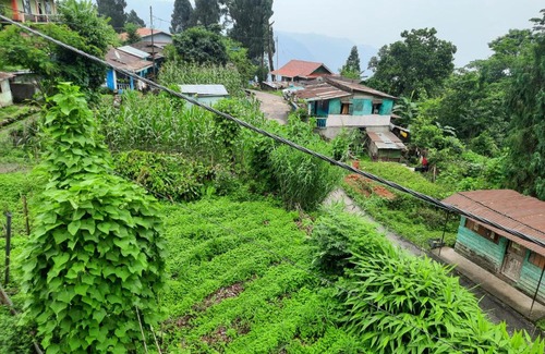 Kurseong House | Newa Homestay
