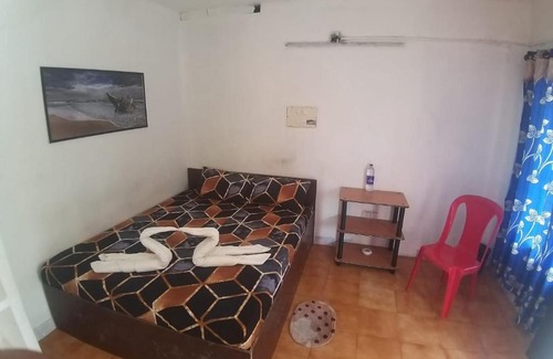 Varkala Resort | Organicvilla Beach Resort