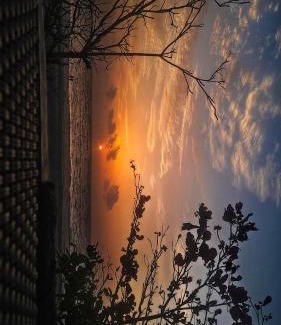 Alappuzha Apartment | Paradise beach homestay