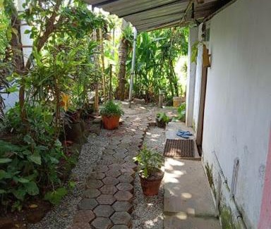 Varkala House | parrot bay homestay