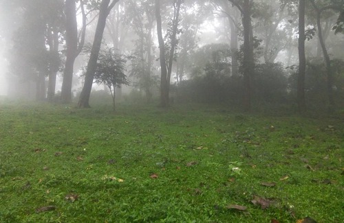 Thekkady Resort | Private room ∙ 2 guests