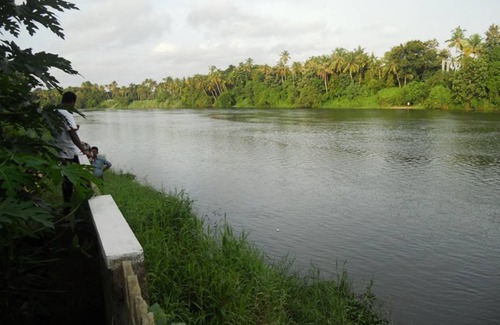 Nedumbassery Resort | Private room ∙ 2 guests