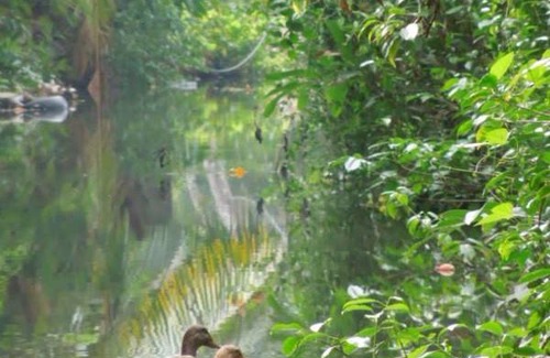 Kumbalam Resort | Private room ∙ 2 guests