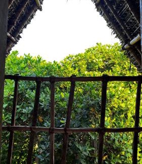 Auroville Other | Tentopia