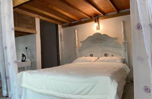 Sungai Buloh House | Terra Cottage Homestay Sungai Buloh