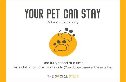 Civil Lines Hostel | The Social Stays Jaipur formerly ArtBuzz