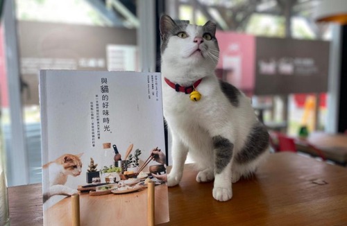 Chishang House | 好和院景田旅 How Has