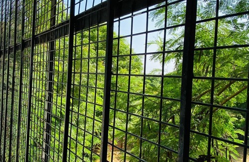 Tonk Road Apartment | 103, rental homes and apartment nearby airport Solanki residency