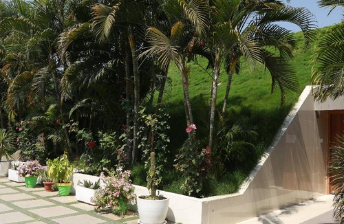 Bodh Gaya Hotel | 16 m² Hotel ∙ 4 guests