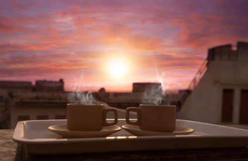 Nathdwara Hotel | 21 m² Hotel ∙ 3 guests