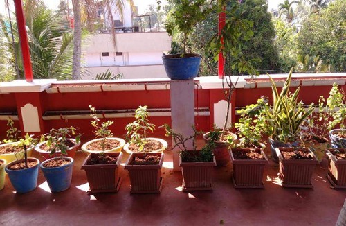Fort Kochi Bed & Breakfast | 26 m² Bed and breakfast ∙ 39 guests