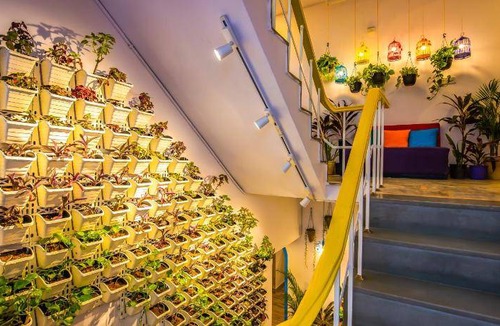 Panch Batti Hostel | 38 m² Hostel ∙ 3 guests