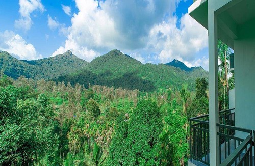 Kalpetta Apartment | 40 m² Serviced apartment ∙ 5 guests