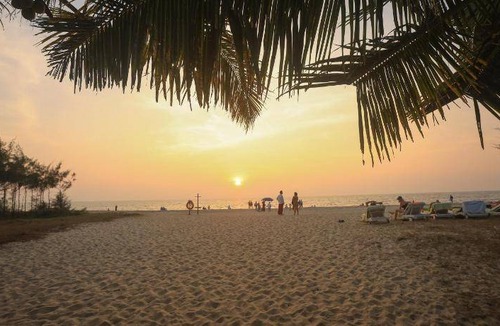 Mararikulam Resort | 80 m² Resort ∙ 127 guests