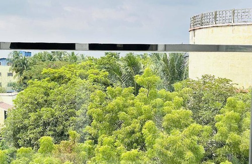 Palayankottai House | 84 m² House ∙ 2 bedrooms ∙ 6 guests